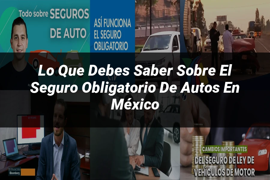 "Lo que debes saber sobre el seguro obligatorio de autos en México"