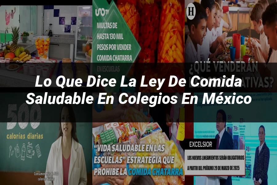 "Lo que dice la ley de comida saludable en colegios en México"