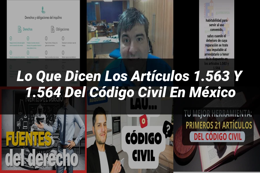 "Lo que dicen los artículos 1.563 y 1.564 del Código Civil en México