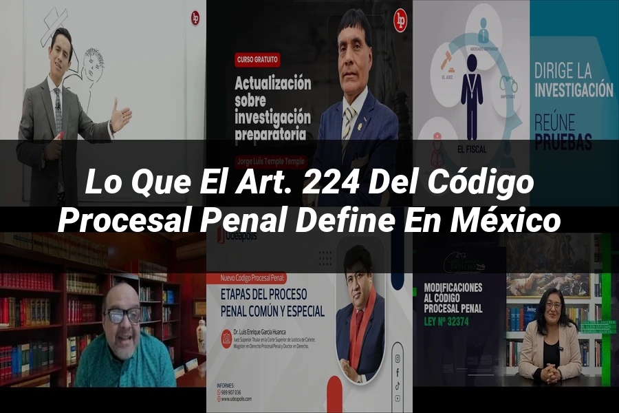 "Lo que el Art. 224 del Código Procesal Penal Define en México"