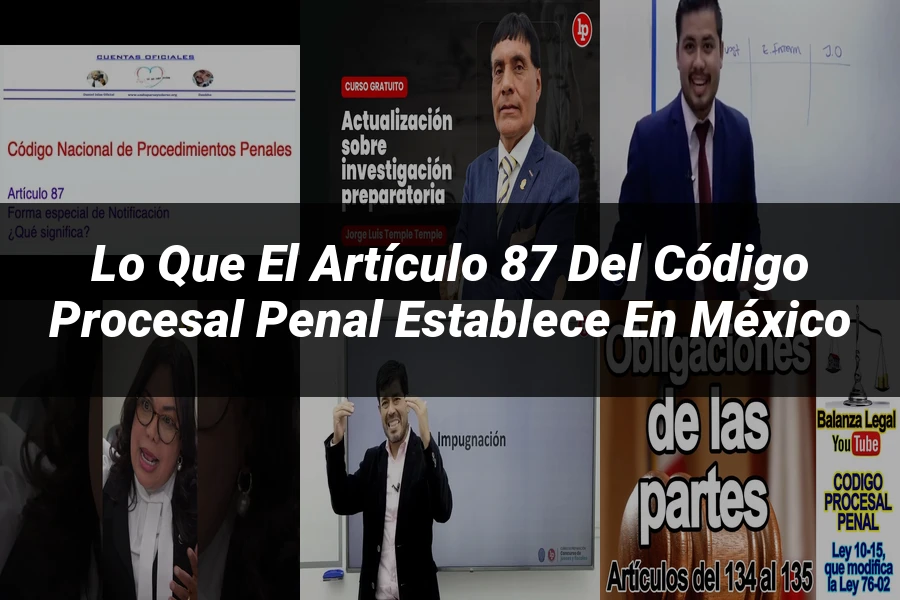 "Lo que el Artículo 87 del Código Procesal Penal establece en México"