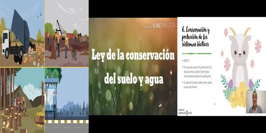 "Lo que la Ley Ambiental Mexicana Protege: Derechos y Obligaciones"