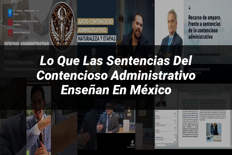 "Lo que las Sentencias del Contencioso Administrativo Enseñan en México"
