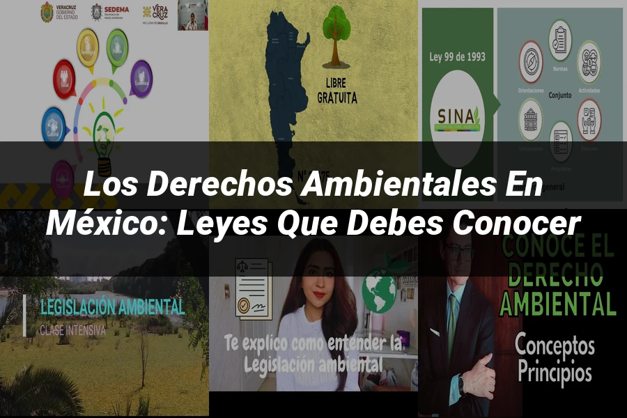 "Los Derechos Ambientales en México: Leyes que Debes Conocer"