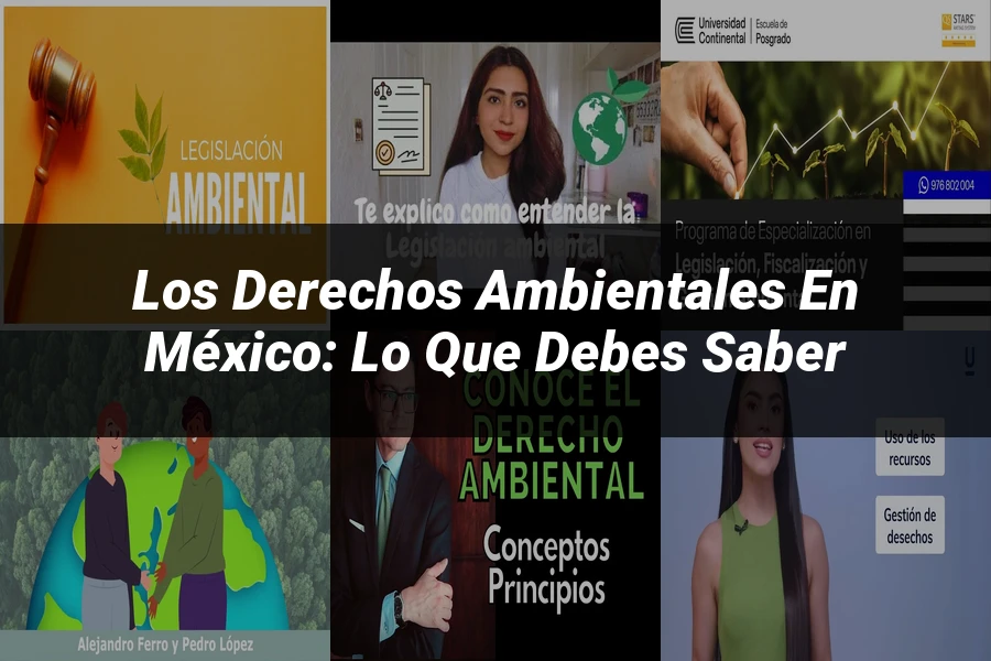 "Los Derechos Ambientales en México: Lo que Debes Saber"