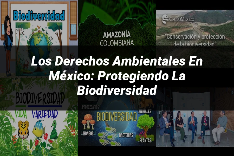 "Los Derechos Ambientales en México: Protegiendo la Biodiversidad"