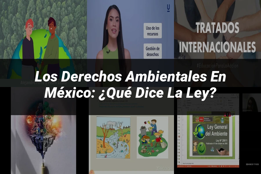 "Los Derechos Ambientales en México: ¿Qué Dice la Ley?"