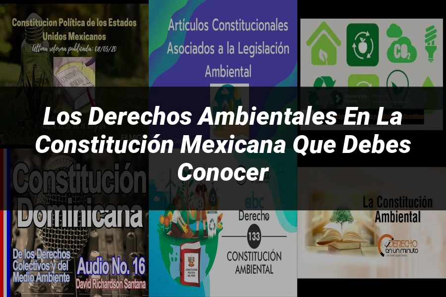 "Los Derechos Ambientales en la Constitución Mexicana que Debes Conocer"