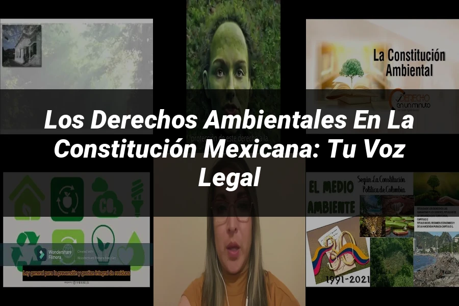 "Los Derechos Ambientales en la Constitución Mexicana: Tu Voz Legal"