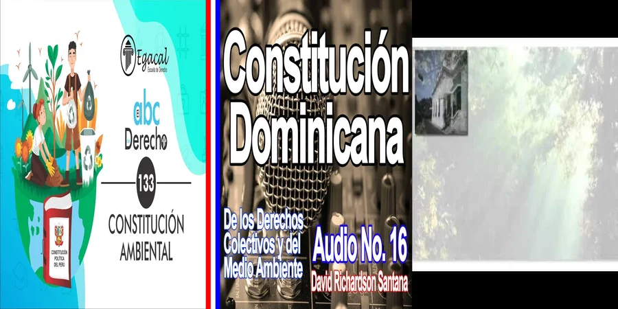 "Los Derechos Ambientales en la Constitución Mexicana: Tu Voz Legal"