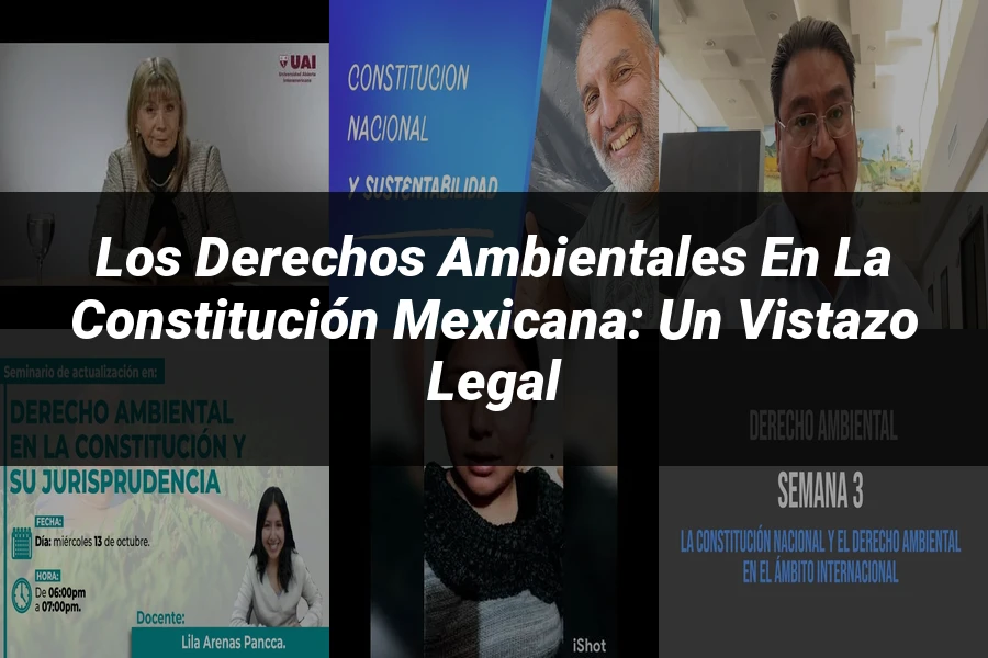"Los Derechos Ambientales en la Constitución Mexicana: Un Vistazo Legal"