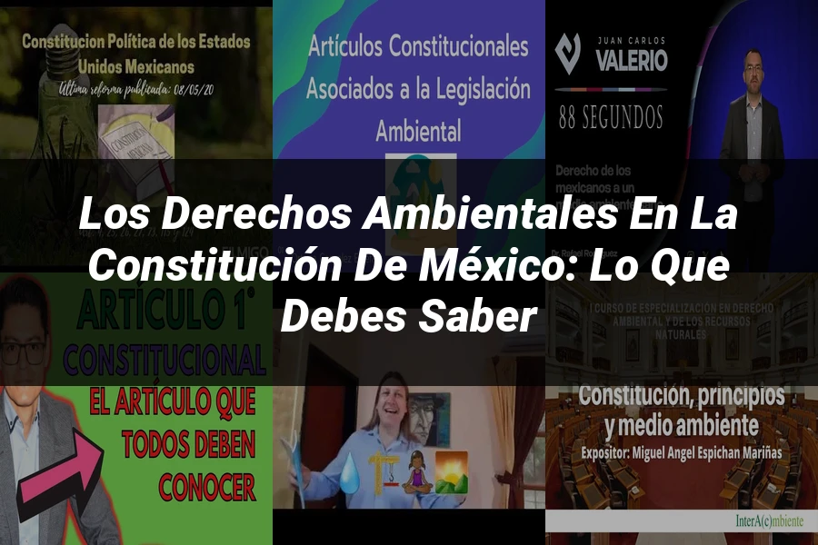 "Los Derechos Ambientales en la Constitución de México: Lo que Debes Saber"