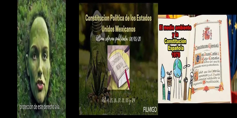 "Los Derechos Ambientales en la Constitución de México: Lo que Debes Saber"