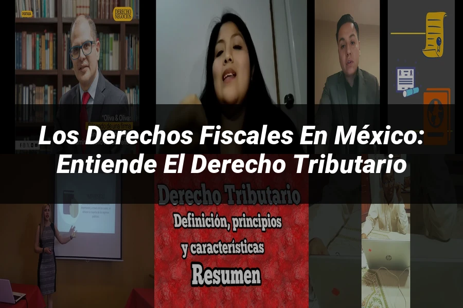 "Los Derechos Fiscales en México: Entiende el Derecho Tributario"