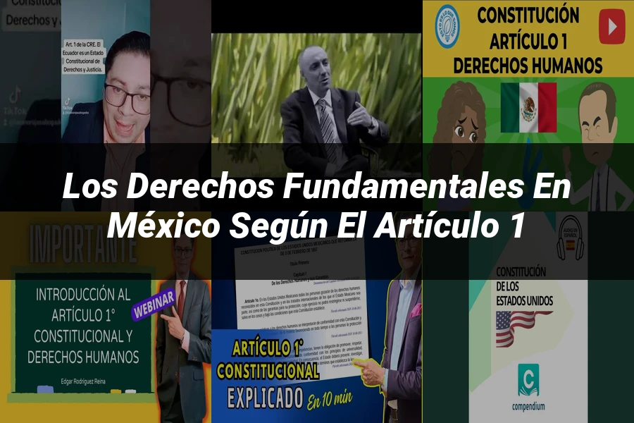 "Los Derechos Fundamentales en México según el Artículo 1"