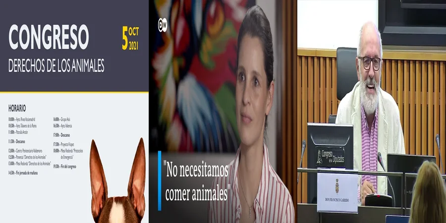 "Los Derechos de los Animales en México: Leyes que Debes Conocer"