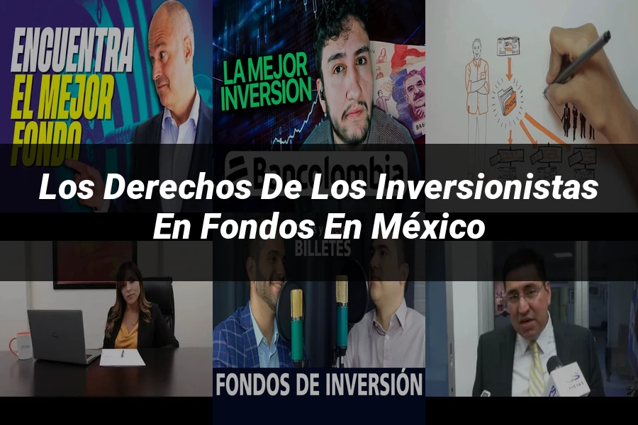 "Los Derechos de los Inversionistas en Fondos en México"