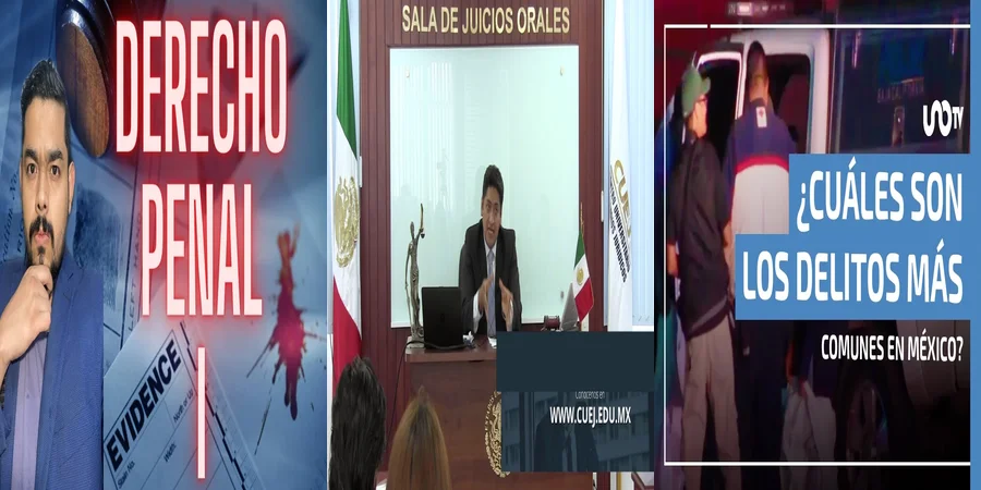 "Los Derechos del Imputado en la Legislación Penal Mexicana"