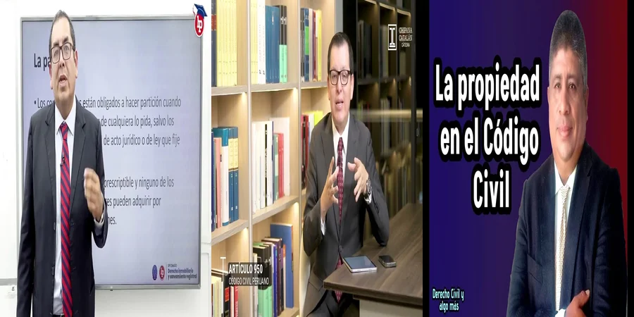 "Los Derechos del Propietario en el Código Civil Mexicano: ¿Qué Implican?"