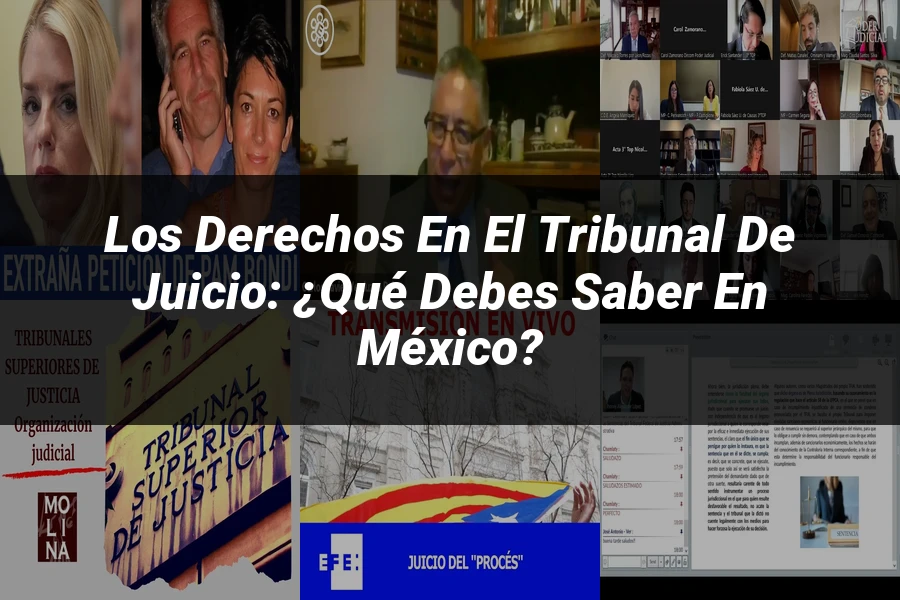 "Los Derechos en el Tribunal de Juicio: ¿Qué Debes Saber en México?"