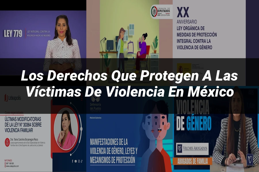 "Los Derechos que Protegen a las Víctimas de Violencia en México"