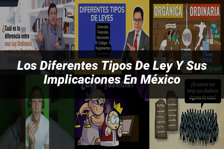 "Los Diferentes Tipos de Ley y Sus Implicaciones en México"