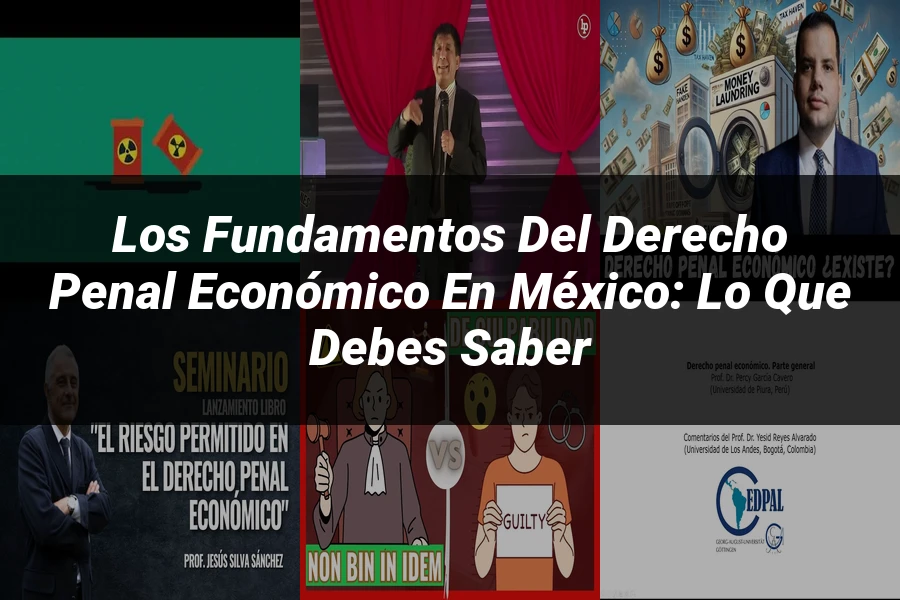 "Los Fundamentos del Derecho Penal Económico en México: Lo Que Debes Saber"