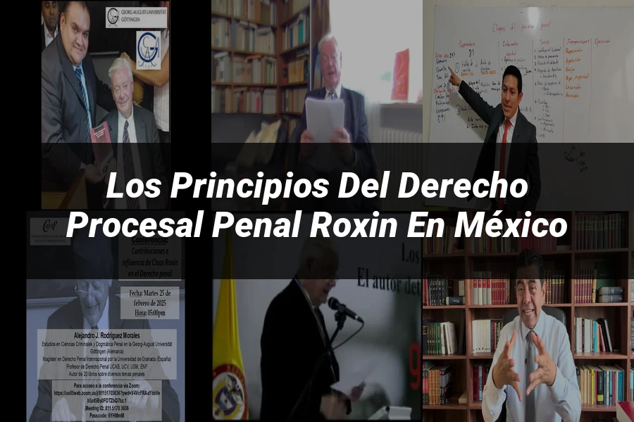 "Los Principios del Derecho Procesal Penal Roxin en México"