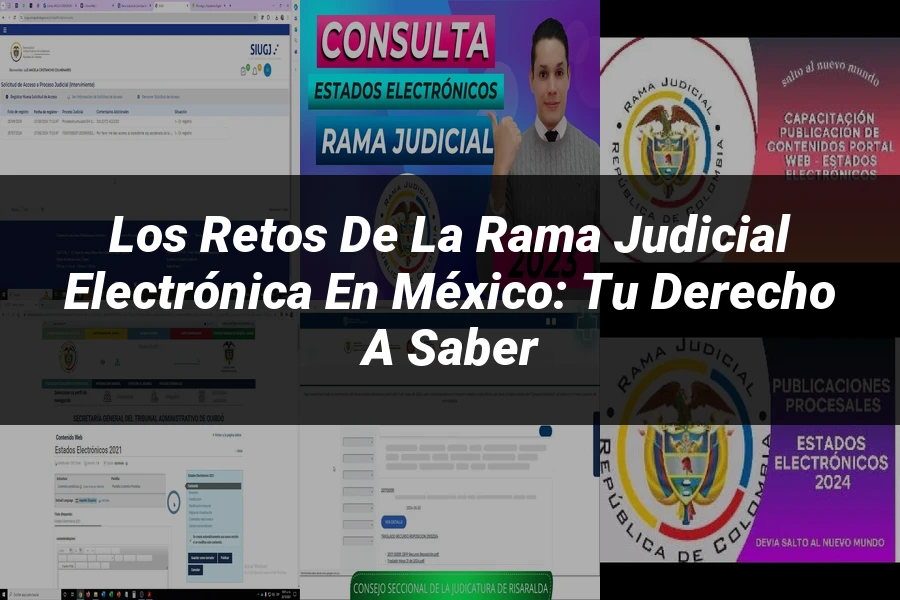 "Los Retos de la Rama Judicial Electrónica en México: Tu Derecho a Saber"