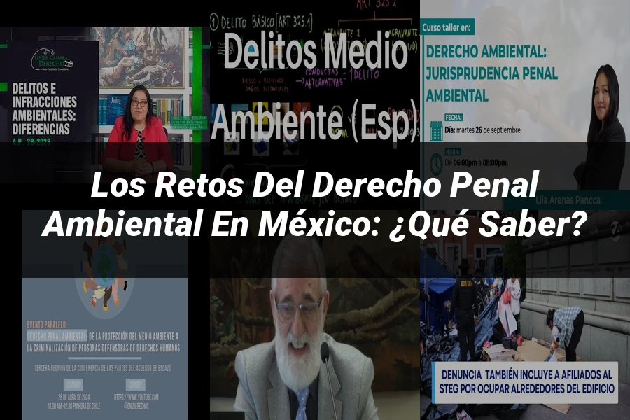 "Los Retos del Derecho Penal Ambiental en México: ¿Qué Saber?"