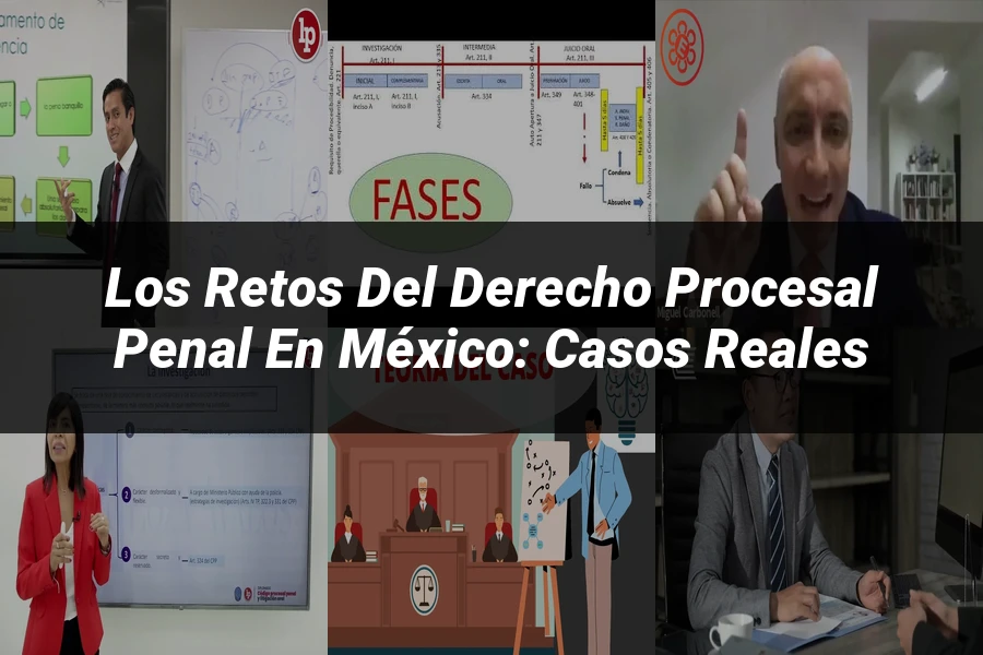 "Los Retos del Derecho Procesal Penal en México: Casos Reales"