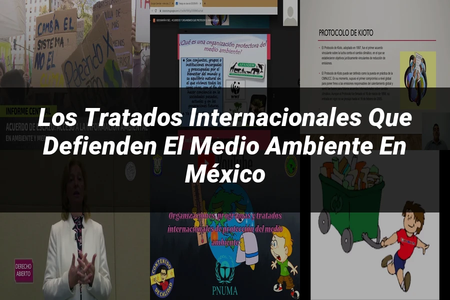 "Los Tratados Internacionales que Defienden el Medio Ambiente en México"