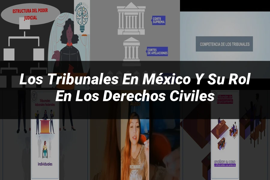 "Los Tribunales en México y Su Rol en los Derechos Civiles"