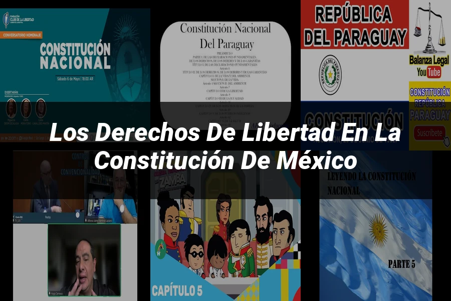 "Los derechos de libertad en la Constitución de México"
