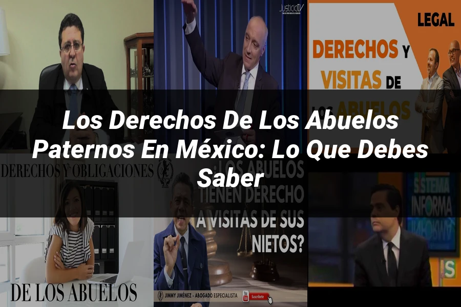 "Los derechos de los abuelos paternos en México: lo que debes saber"