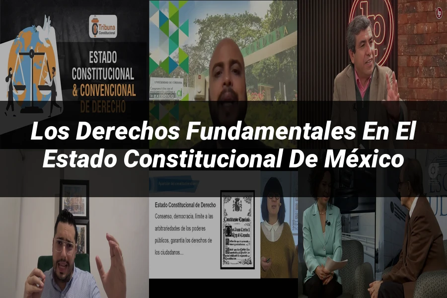 "Los derechos fundamentales en el estado constitucional de México"