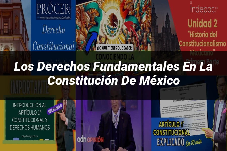 "Los derechos fundamentales en la Constitución de México"