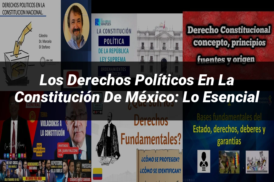 "Los derechos políticos en la Constitución de México: lo esencial"