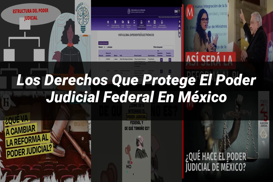 "Los derechos que protege el poder judicial federal en México"