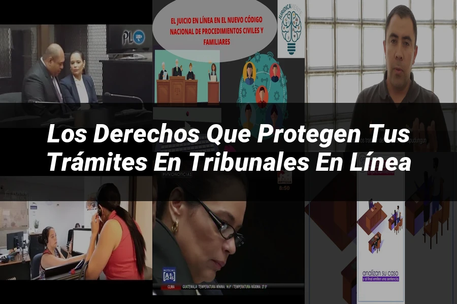 "Los derechos que protegen tus trámites en tribunales en línea"