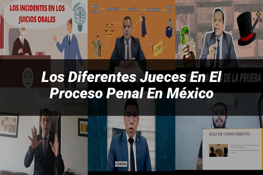 "Los diferentes jueces en el proceso penal en México"