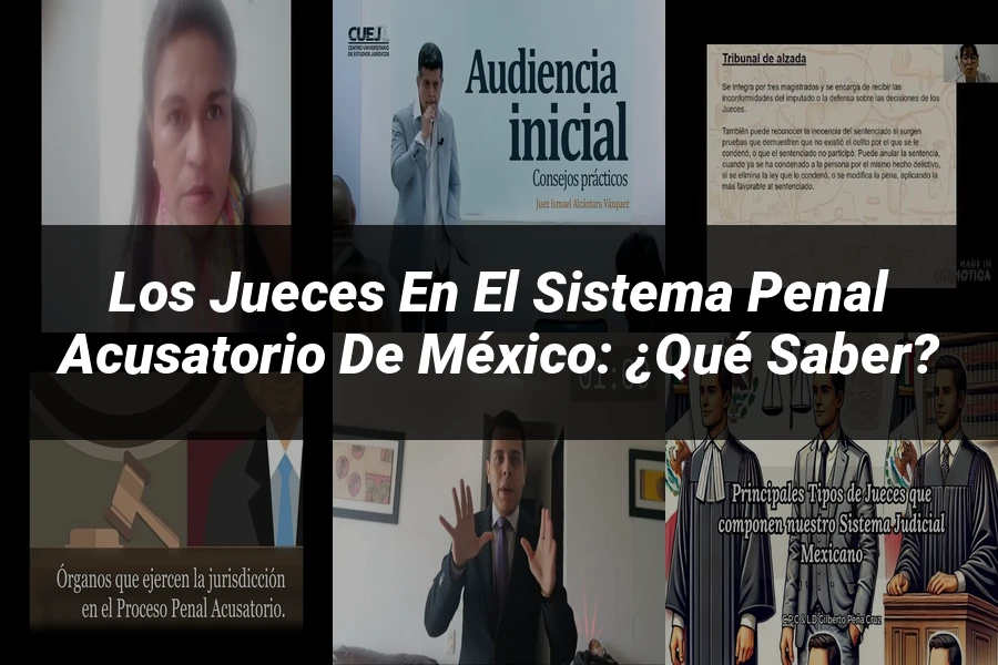 "Los jueces en el sistema penal acusatorio de México: ¿Qué saber?"