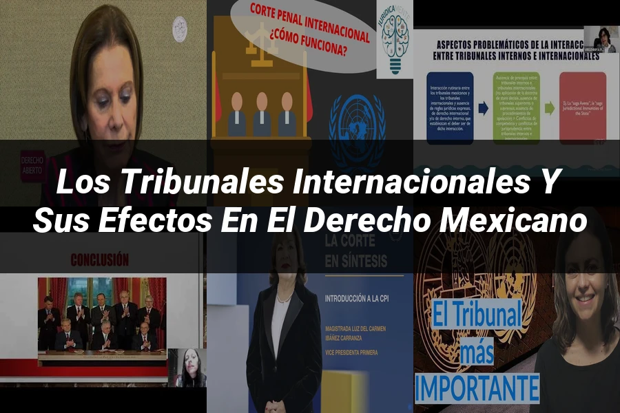 "Los tribunales internacionales y sus efectos en el derecho mexicano"