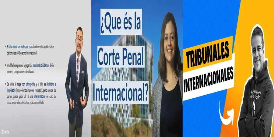 "Los tribunales internacionales y sus efectos en el derecho mexicano"