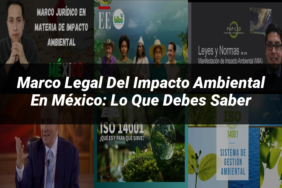 "Marco Legal del Impacto Ambiental en México: Lo que Debes Saber"