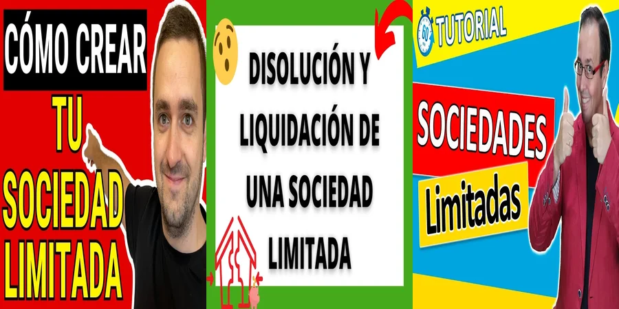 "Modelo de Estatutos para Sociedades Limitadas en México: Aspectos Clave"