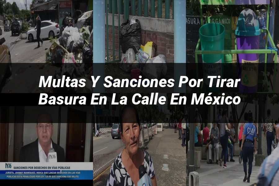 "Multas y sanciones por tirar basura en la calle en México"