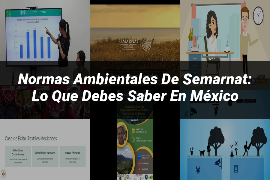 "Normas Ambientales de SEMARNAT: Lo que Debes Saber en México"