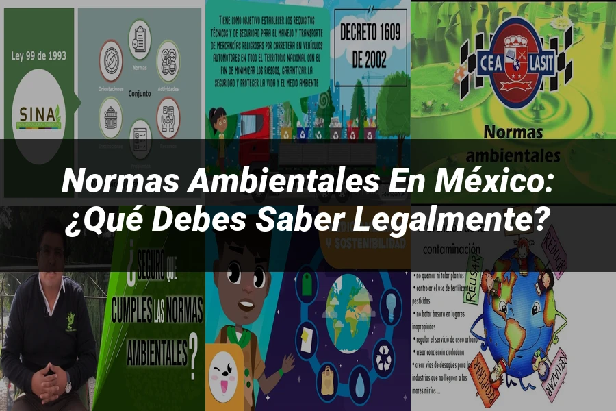 "Normas ambientales en México: ¿Qué debes saber legalmente?"