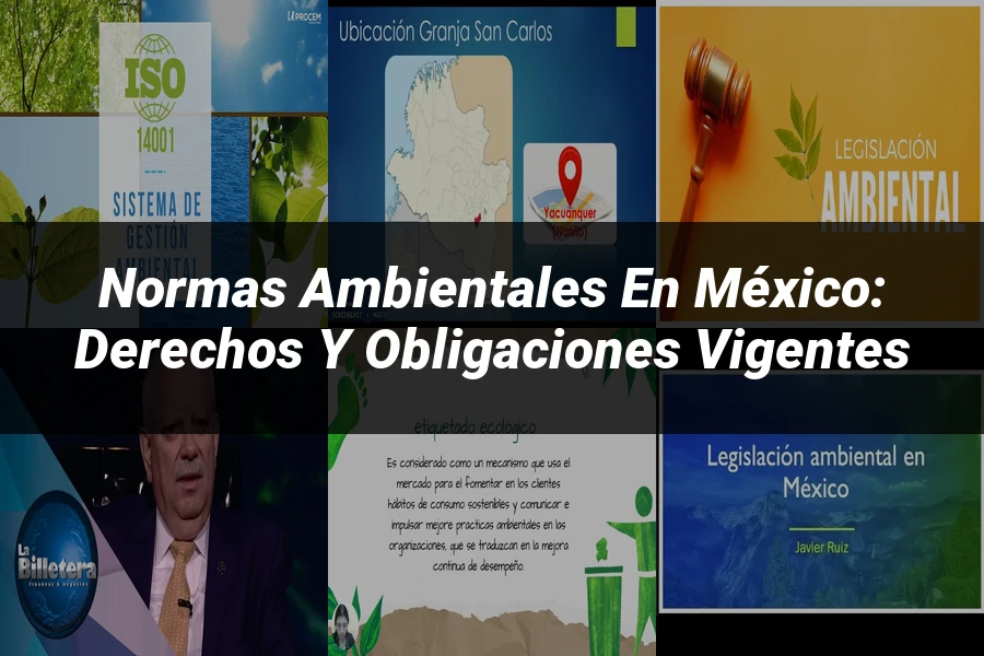 "Normas ambientales en México: derechos y obligaciones vigentes"